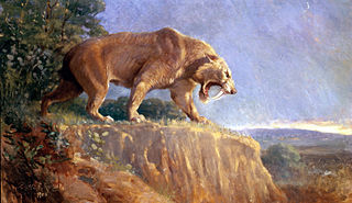Smilodon 与 Thylacosmilus